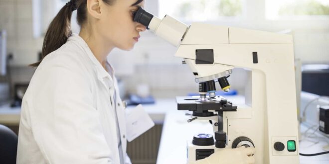 Estudo alerta para urgência de novos tratamentos contra verminoses