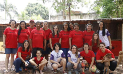 VOLUNTÁRIOS APAM_MT