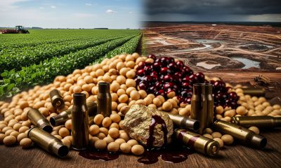 Com taxa de homicídios 5,3% maior que a líder americana, pontes e lacerda expõe um cenário de violência extrema no interior do brasil, alimentado por garimpo, tráfico e disputas de facções