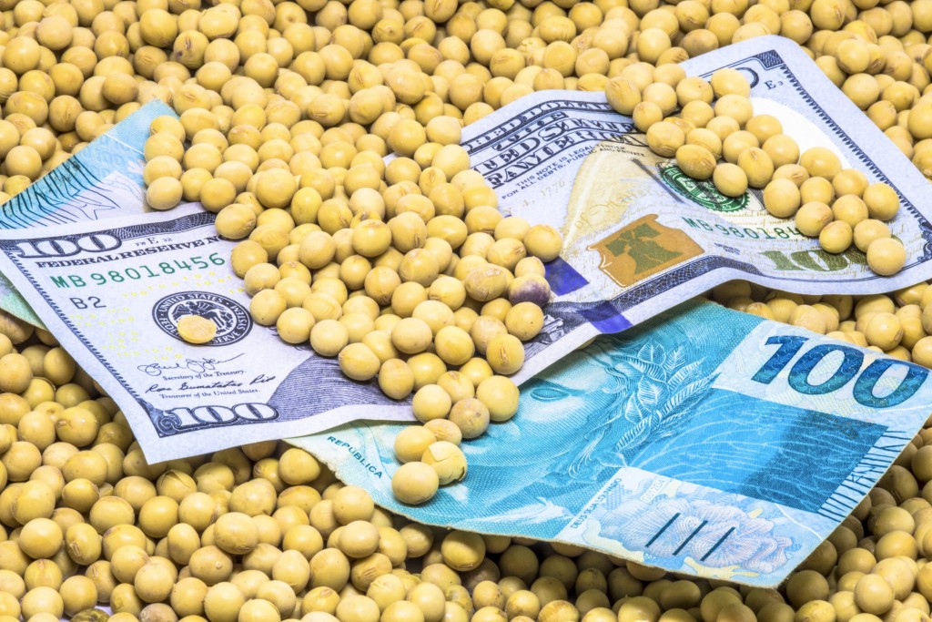 Dólar em queda alivia custos, mas pressiona receita; produtor precisa  recalcular margem