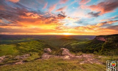 condutores mirins de turismo