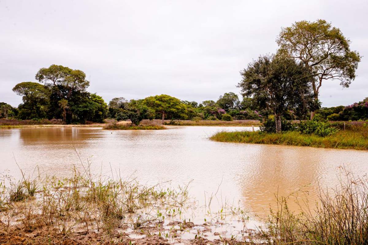 piracema em mato grosso