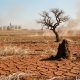 El Niño 2026 desastre térmico Mato Grosso