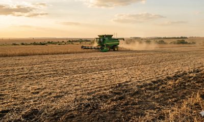 safra de grãos 2025/26