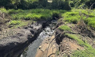 Saneamento clandestino em Mirassol D’Oeste