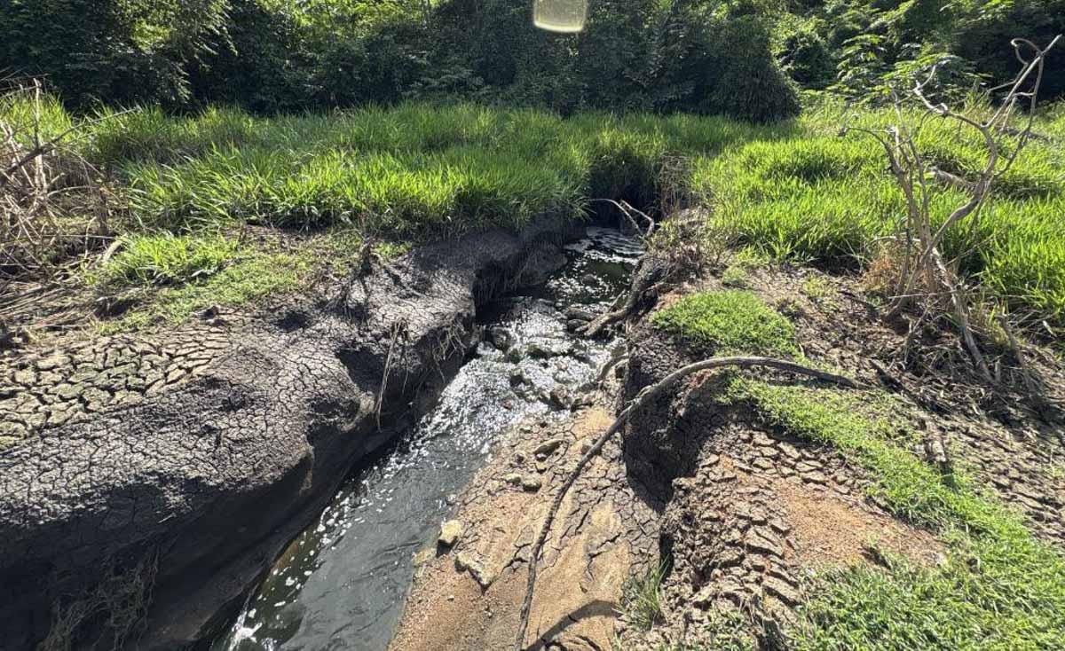 Saneamento clandestino em Mirassol D’Oeste