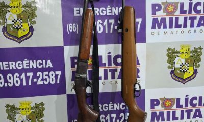 violencia domestica tesouro