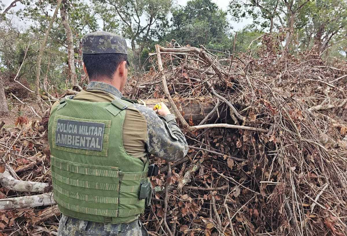desmatamento irregular pantanal