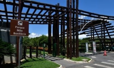 trilha parque mae bonifacia