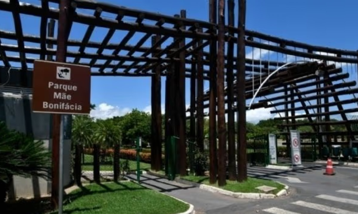 trilha parque mae bonifacia