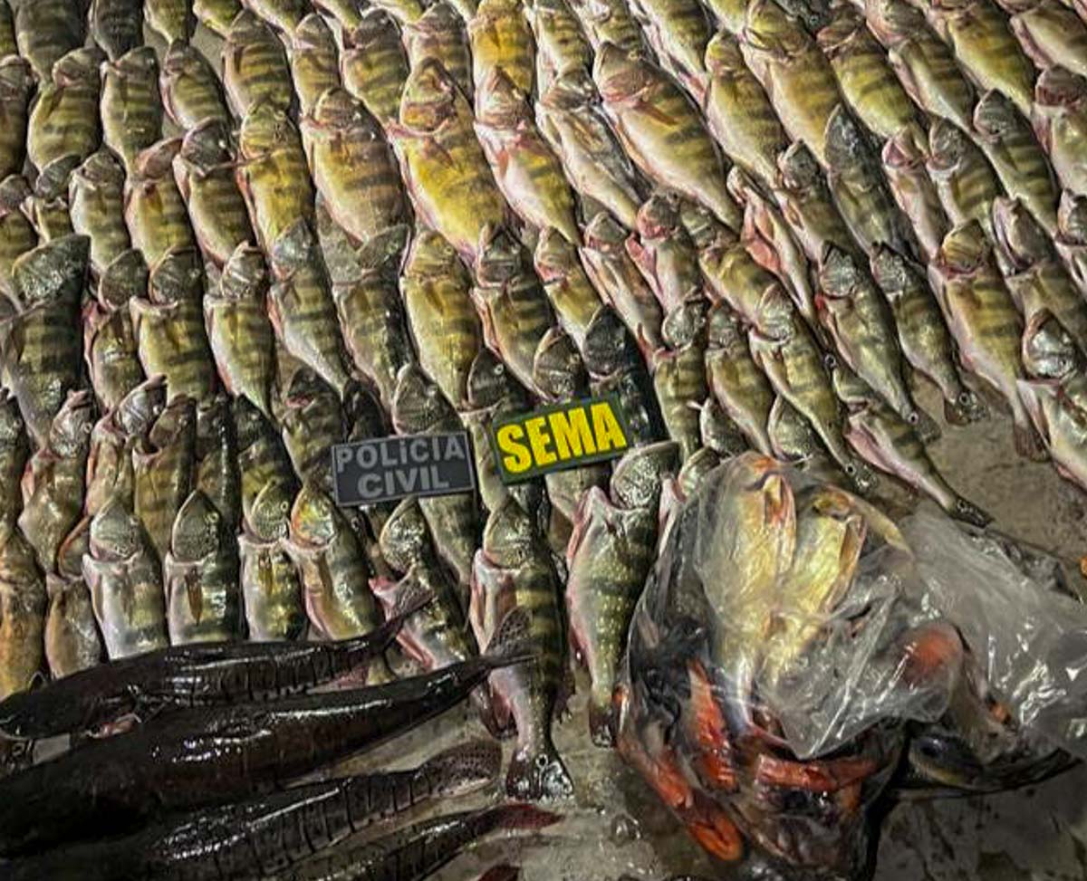 operações sema pesca predatória