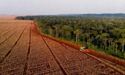 Mato Grosso tarifaço EUA