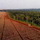 Mato Grosso tarifaço EUA