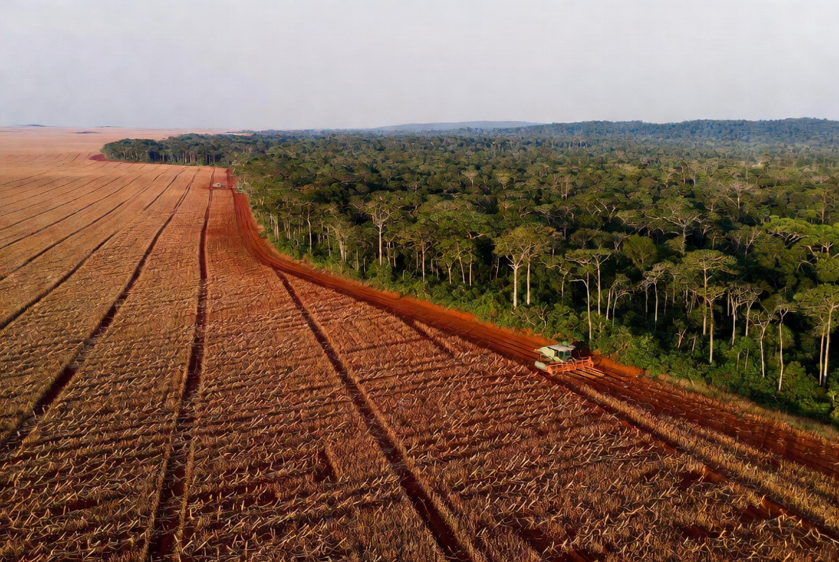 Mato Grosso tarifaço EUA
