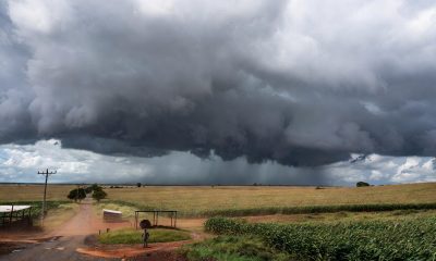 alertas do INMET em Mato Grosso
