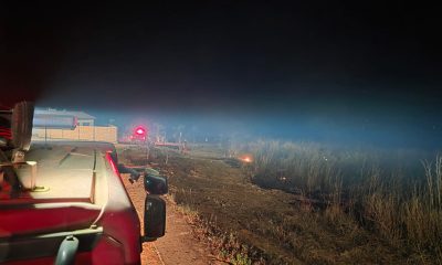 incendio vegetacao campo verde