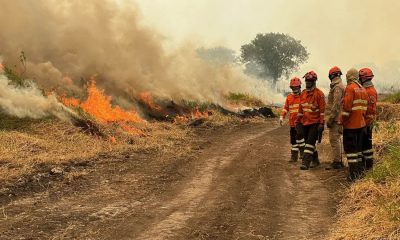 plano de contingência seca