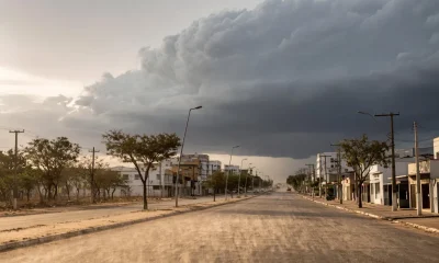 Avenida com poeira levantada pelo vento e nuvem escura de tempestade ao fundo, em ilustração sobre onda de calor