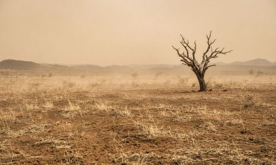 previsão do tempo Mato Grosso hoje